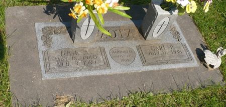 ZOTZ, JUNE A. - Appanoose County, Iowa | JUNE A. ZOTZ 