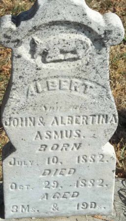 ASMUS, ALBERT - Audubon County, Iowa | ALBERT ASMUS 