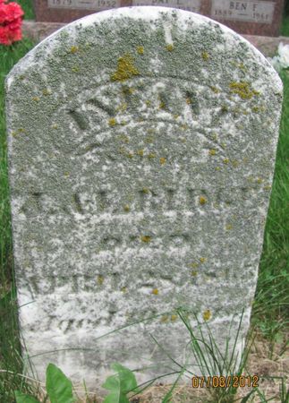 BIRGE, INFANT SON - Audubon County, Iowa | INFANT SON BIRGE 