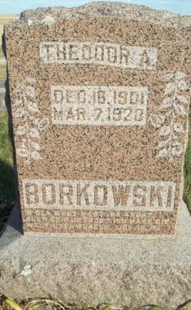BORKOWSKI, THEODOR A. - Audubon County, Iowa | THEODOR A. BORKOWSKI 
