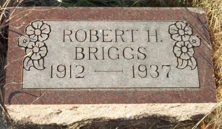 BRIGGS, ROBERT H. - Audubon County, Iowa | ROBERT H. BRIGGS 