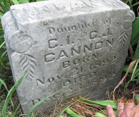 CANNON, INFANT DAUGHTER - Audubon County, Iowa | INFANT DAUGHTER CANNON 