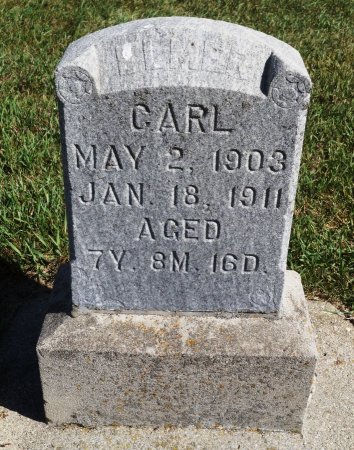CARL, ELMER - Audubon County, Iowa | ELMER CARL 