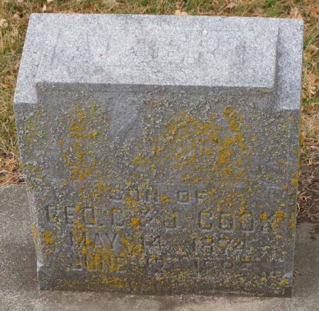 COOK, ALBERT - Audubon County, Iowa | ALBERT COOK 