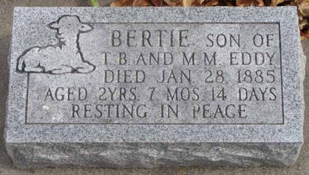 EDDY, BERTIE - Audubon County, Iowa | BERTIE EDDY 