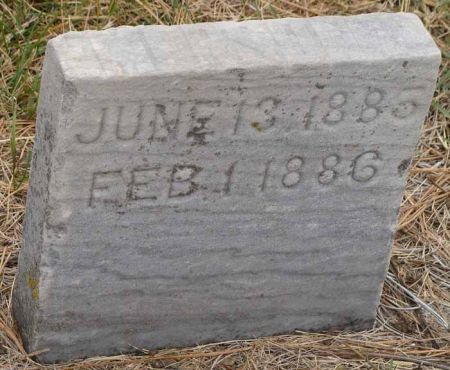 EDDY, EMERSON A. - Audubon County, Iowa | EMERSON A. EDDY 