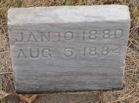 EDDY, LUELLA N. - Audubon County, Iowa | LUELLA N. EDDY 