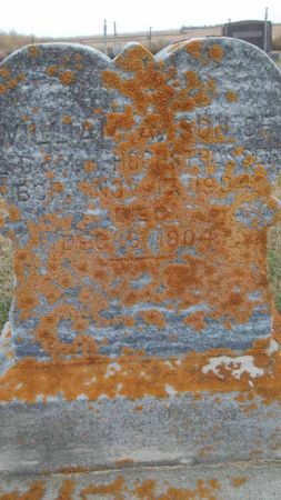 HOCHSTRASSER, WILLIAM A. - Audubon County, Iowa | WILLIAM A. HOCHSTRASSER 