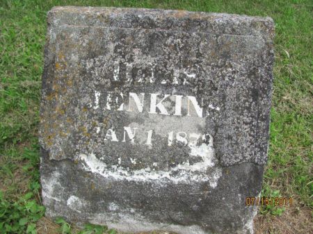 JENKINS, WILLIS S. - Audubon County, Iowa | WILLIS S. JENKINS 