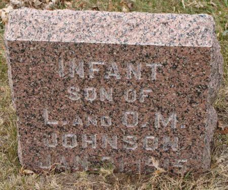 JOHNSON, INFANT SON - Audubon County, Iowa | INFANT SON JOHNSON 