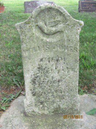 JONES, WILLIS - Audubon County, Iowa | WILLIS JONES 