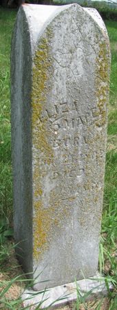 MAPES, ELIZA - Audubon County, Iowa | ELIZA MAPES 