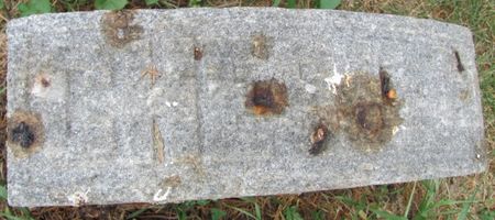 MARSH, CHESTER - Audubon County, Iowa | CHESTER MARSH 