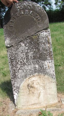 MILLHOLLIN MARSH, ELIZABETH   (ELIZABETH MARSHALL) - Audubon County, Iowa | ELIZABETH   (ELIZABETH MARSHALL) MILLHOLLIN MARSH 