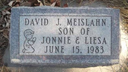 MEISLAHN, DAVID J. - Audubon County, Iowa | DAVID J. MEISLAHN 