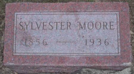 MOORE, SYLVESTER - Audubon County, Iowa | SYLVESTER MOORE 