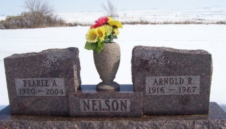 NELSON, ARNOLD R. - Audubon County, Iowa | ARNOLD R. NELSON 