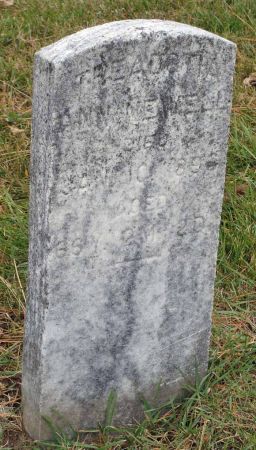 NEWELL, THEADOTIA ANN - Audubon County, Iowa | THEADOTIA ANN NEWELL 