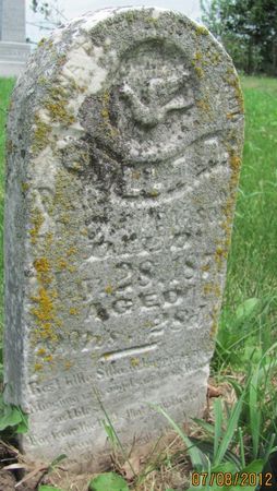 PEARSON, STELLA A. - Audubon County, Iowa | STELLA A. PEARSON 