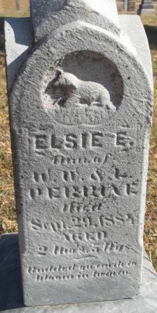 PERRINE, ELSIE E. - Audubon County, Iowa | ELSIE E. PERRINE 