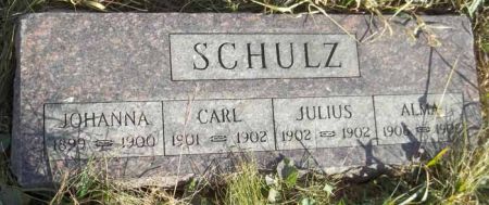 SCHULZ, JULIUS - Audubon County, Iowa | JULIUS SCHULZ 