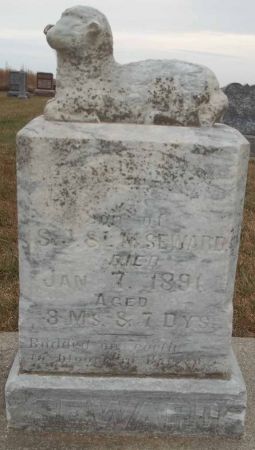 SEWARD, WILLIE S. - Audubon County, Iowa | WILLIE S. SEWARD 