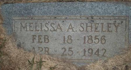 SHELEY, MELISSA A. - Audubon County, Iowa | MELISSA A. SHELEY 
