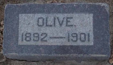 SHELLEY, OLIVE - Audubon County, Iowa | OLIVE SHELLEY 