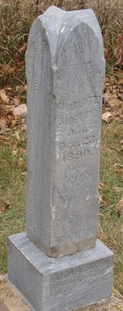 SODELUND, CHARLOTTA - Audubon County, Iowa | CHARLOTTA SODELUND 