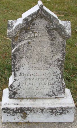 STEWART, MATTE - Audubon County, Iowa | MATTE STEWART 