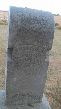 STOUGH, THOMAS - Audubon County, Iowa | THOMAS STOUGH 