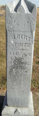STRUTZ, ALBERT - Audubon County, Iowa | ALBERT STRUTZ 