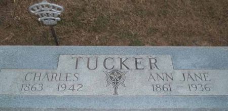 TUCKER, CHARLES - Audubon County, Iowa | CHARLES TUCKER 