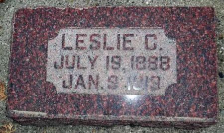 MCMICHAEL, LESLIE C. - Audubon County, Iowa | LESLIE C. MCMICHAEL 