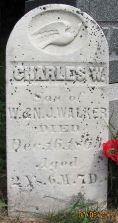 WALKER, CHARLES W. - Audubon County, Iowa | CHARLES W. WALKER 