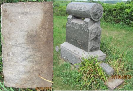 WALKER, UNKNOWN - Audubon County, Iowa | UNKNOWN WALKER 