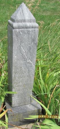 WALKER, WILLIAM - Audubon County, Iowa | WILLIAM WALKER 