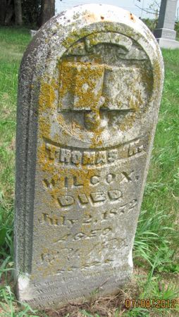 WILCOX, THOMAS K. - Audubon County, Iowa | THOMAS K. WILCOX 