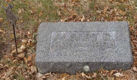 WILLIAMSON, ALBERT R. - Audubon County, Iowa | ALBERT R. WILLIAMSON 