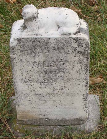 WILSON, THOMAS MARVIN? - Audubon County, Iowa | THOMAS MARVIN? WILSON 