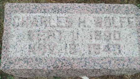 WOLFE, CHARLES H. - Audubon County, Iowa | CHARLES H. WOLFE 