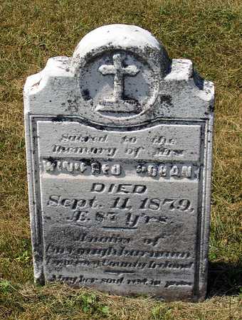 GLEASON HOGAN, WINIFRED - Benton County, Iowa | WINIFRED GLEASON HOGAN 