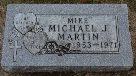 MARTIN, MICHAEL JOHN - Benton County, Iowa | MICHAEL JOHN MARTIN 
