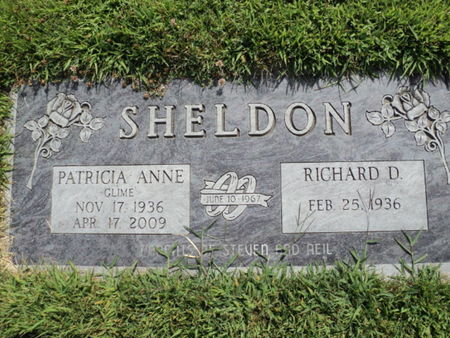 SHELDON, PATRICIA ANNE - Benton County, Iowa | PATRICIA ANNE SHELDON 