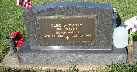 TONEY, CLEO ANCLE - Benton County, Iowa | CLEO ANCLE TONEY 