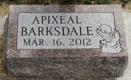 BARKSDALE, APIXEAL - Black Hawk County, Iowa | APIXEAL BARKSDALE 