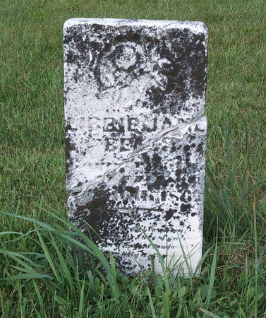 BEAL, LIBBIE J. - Black Hawk County, Iowa | LIBBIE J. BEAL 