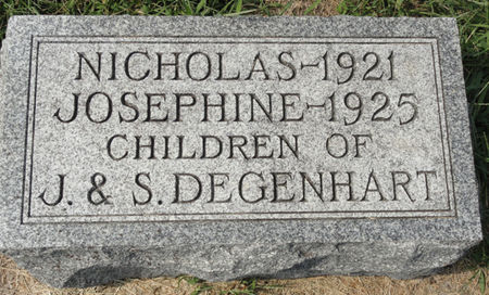 DEGENHART, NICHOLAS - Black Hawk County, Iowa | NICHOLAS DEGENHART 