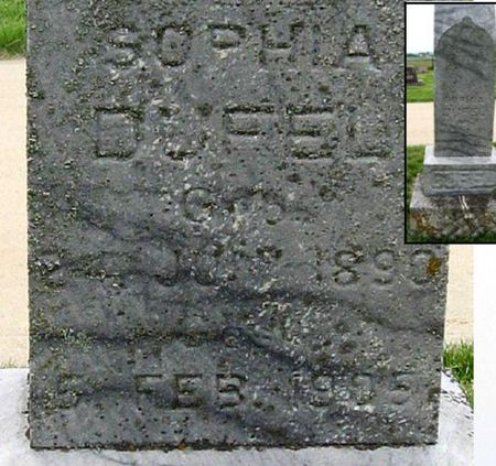 DUFEL, SOPHIA - Black Hawk County, Iowa | SOPHIA DUFEL 
