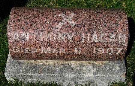 HAGAN, ANTHONY - Black Hawk County, Iowa | ANTHONY HAGAN 